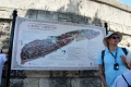 IMG_3593.JPG
