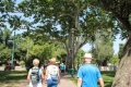 IMG_4272.JPG