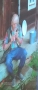 QFHW1438