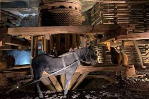 Kopalnia soli Wieliczka