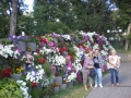 IMGP2154.JPG