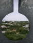 IMGP2236.JPG