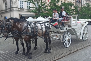 Krzysztofory