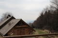 IMG_6379.JPG