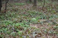 IMG_6539.JPG