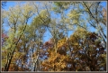 IMG_7475.JPG