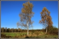 IMG_7548.JPG