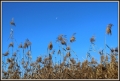 IMG_7556.JPG
