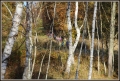 IMG_7585.JPG