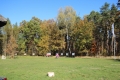IMG_7721.JPG
