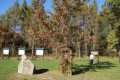 IMG_7894.JPG