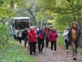 IMG_8460A.jpg