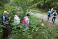 IMG_2621.JPG