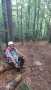 IMG-20250730-WA0015