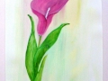 DSCF7977.JPG