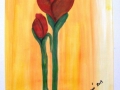 DSCF7978.JPG