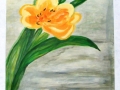 DSCF7979.JPG