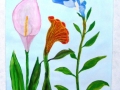 DSCF8021.JPG