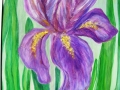DSCF9082.JPG