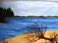 DSCF9093.JPG