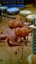 WP_20160127_20_27_29_Pro.jpg