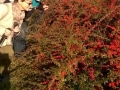 WP_20151029_10_51_58_Pro.jpg