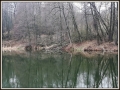 IMG_20190321_104958.jpg