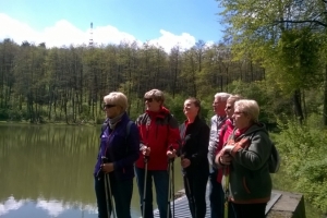 Nordic walking - Grabówki