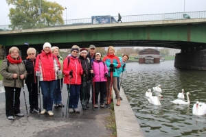 Nordic walking - Kopiec Kościuszki 