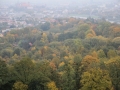 IMG_8709A.jpg