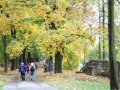 IMG_8985A.jpg