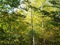 DSCF3688.JPG
