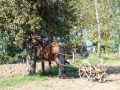 DSCF3700.JPG