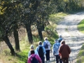 DSCF3701.JPG