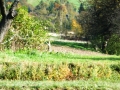 DSCF3702.JPG