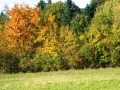 DSCF3705.JPG