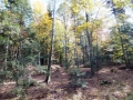 DSCF3713.JPG