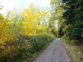 DSCF3718.JPG