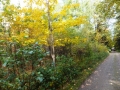 DSCF3720.JPG