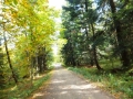 DSCF3723.JPG