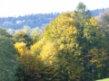DSCF3729.JPG