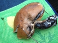 DSCF3750.JPG