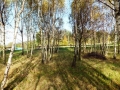 DSCF3761.JPG