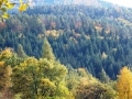 DSCF3764.JPG