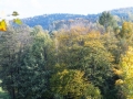 DSCF3765.JPG