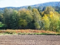 DSCF3774.JPG