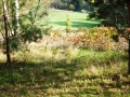DSCF3778.JPG