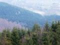DSCF2043.JPG