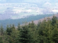 DSCF2044.JPG