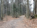 DSCF2048.JPG